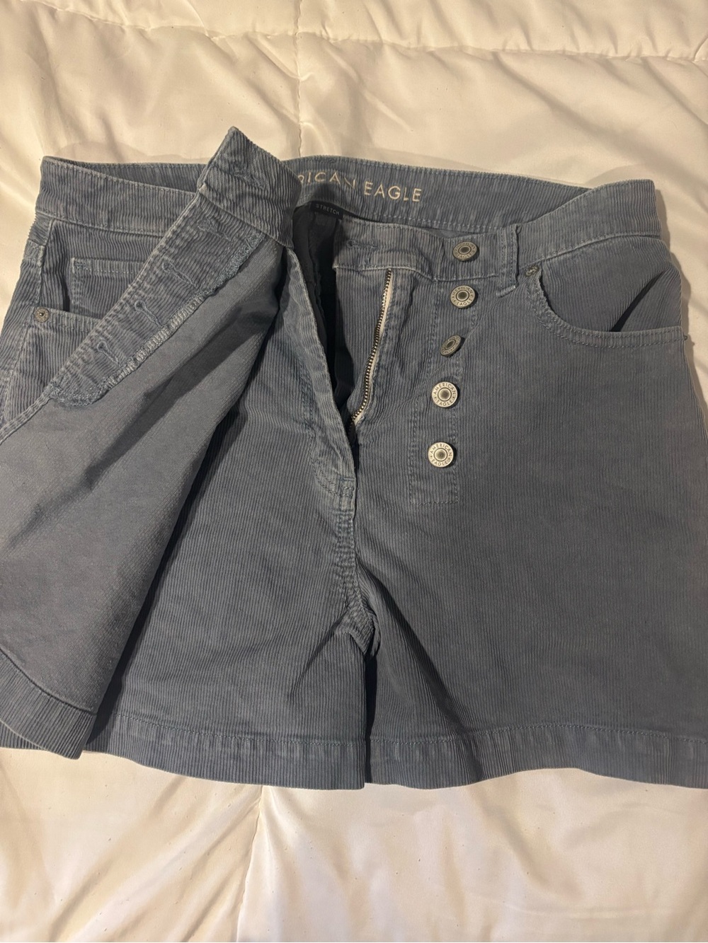 American Eagle Outfitters Light Blue Corduroy Button-Front Women’s Skort